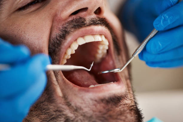 Best Dentist Open Late Near Me  in Harrison, NY